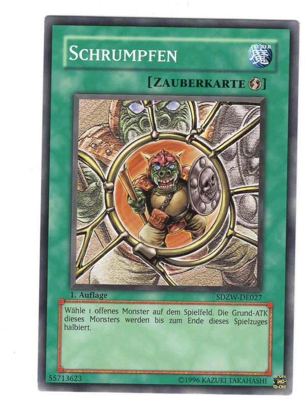 Schrumpfen - 1. Auflage - SDZW-DE027